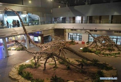  中国恐竜博物館！古代の生き物と冒険へ出発！