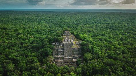 マヤ遺跡エル・タイン、古代文明の謎とジャングル探検を体験！