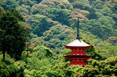 雲山寺、緑に囲まれた神秘的な寺院と歴史の息吹！